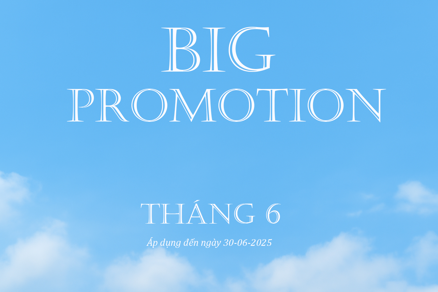 Big sale T6