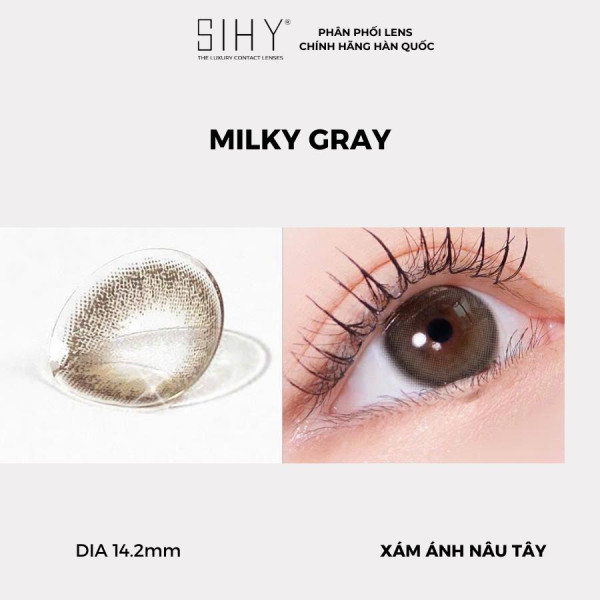Milky Gray - Lens 1 Tháng
