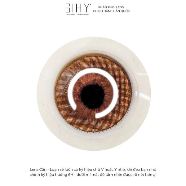 Elsa Brown - Lens 1 Tháng
