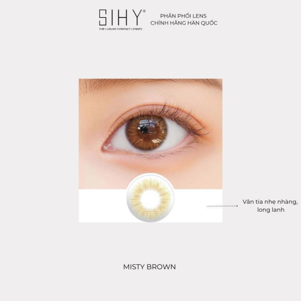 Misty Brown - Lens 3 Tháng